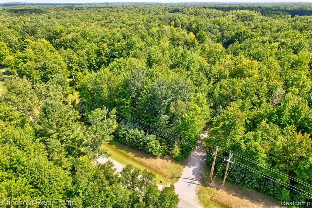 3901 Hanes Road Vassar, MI 48768 - Photo 69 of 71