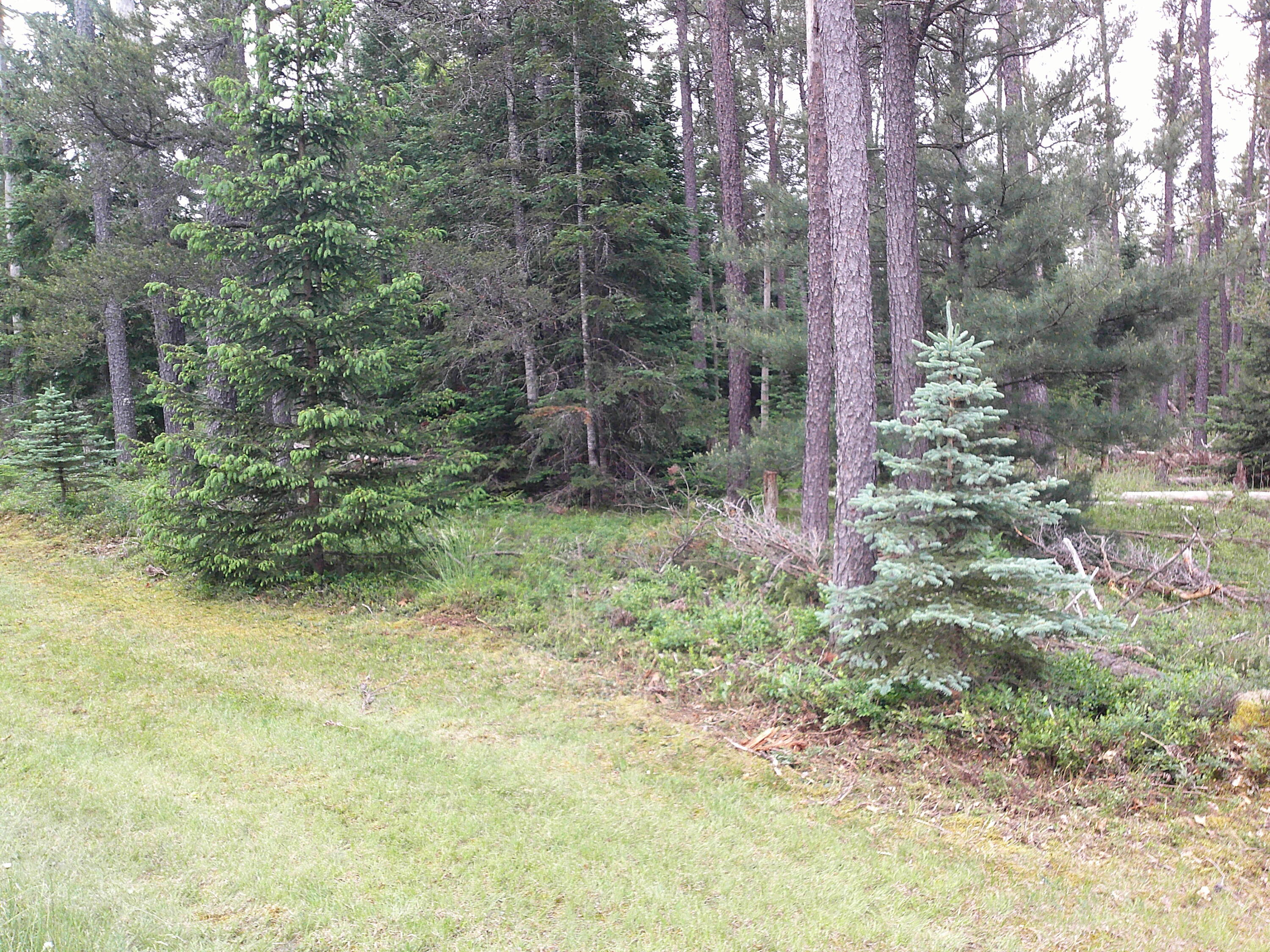 Shaw Park Road Grayling, MI 49738 - Photo 9 of 12 Gallery Image 9