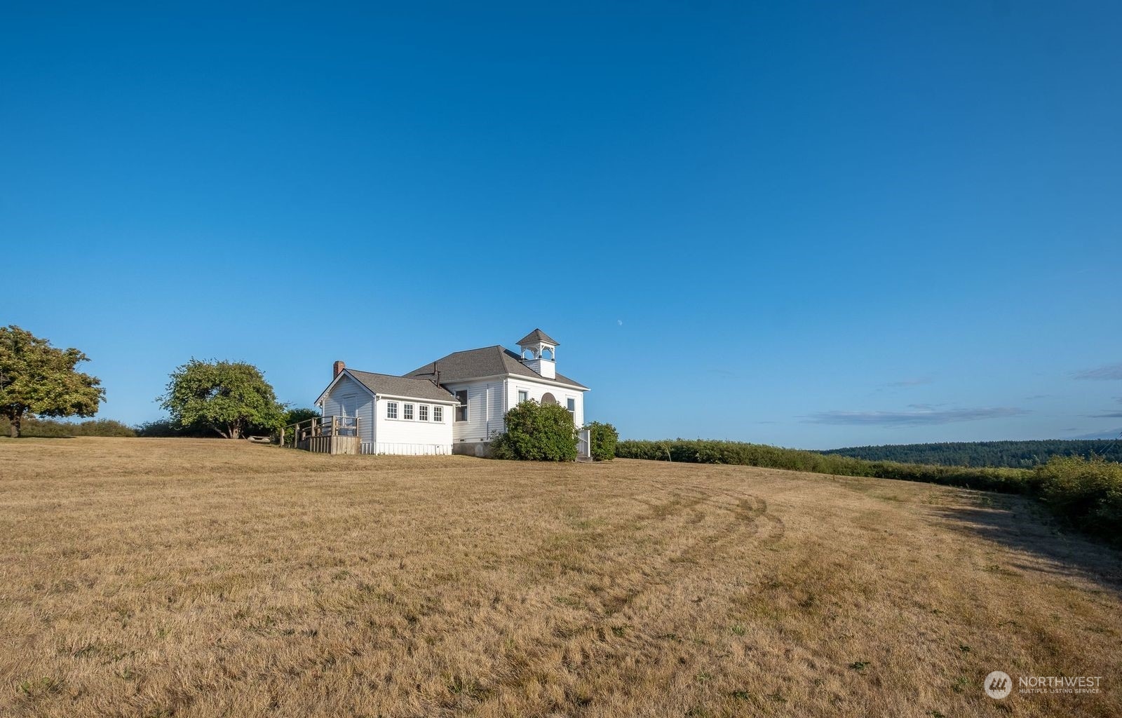 650 Zylstra Road Coupeville, WA 98239 - Photo 25 of 26 a view of a large trees with mountain in the background