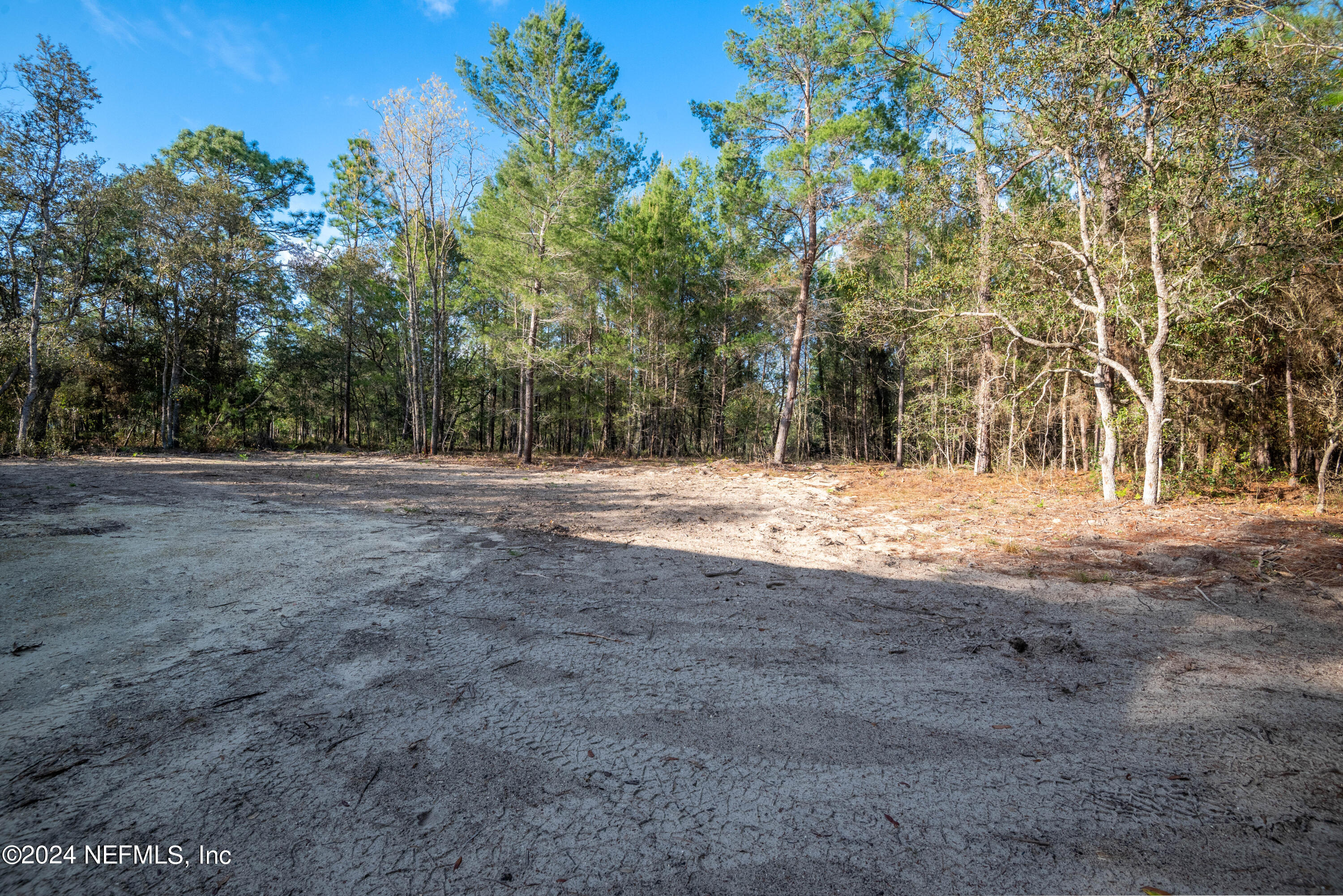 6787 Deer Springs Road Keystone Heights, FL 32656 - Photo 16 of 54 a view of large yard with large trees