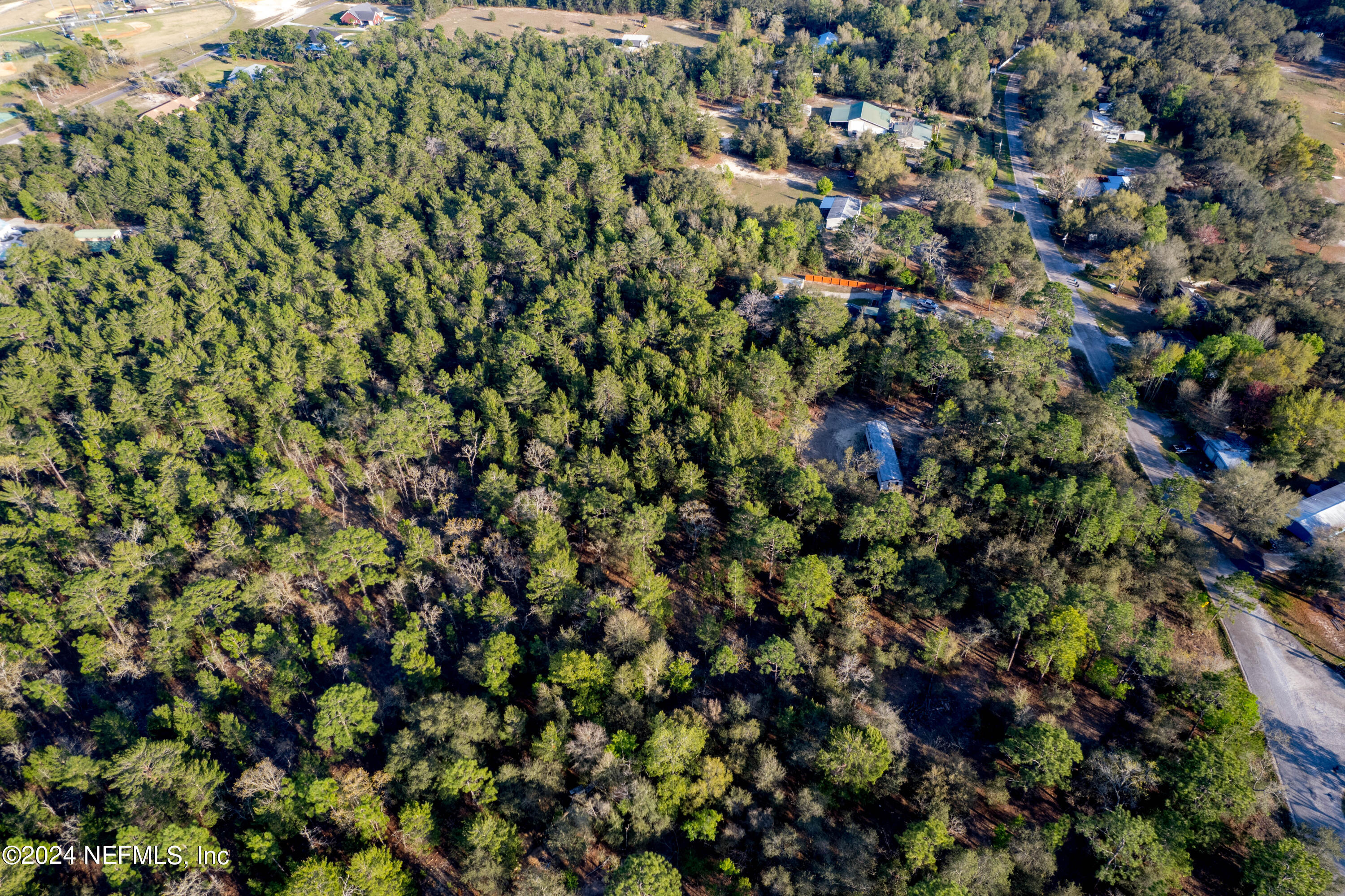 6787 Deer Springs Road Keystone Heights, FL 32656 - Photo 20 of 54 a view of a tree