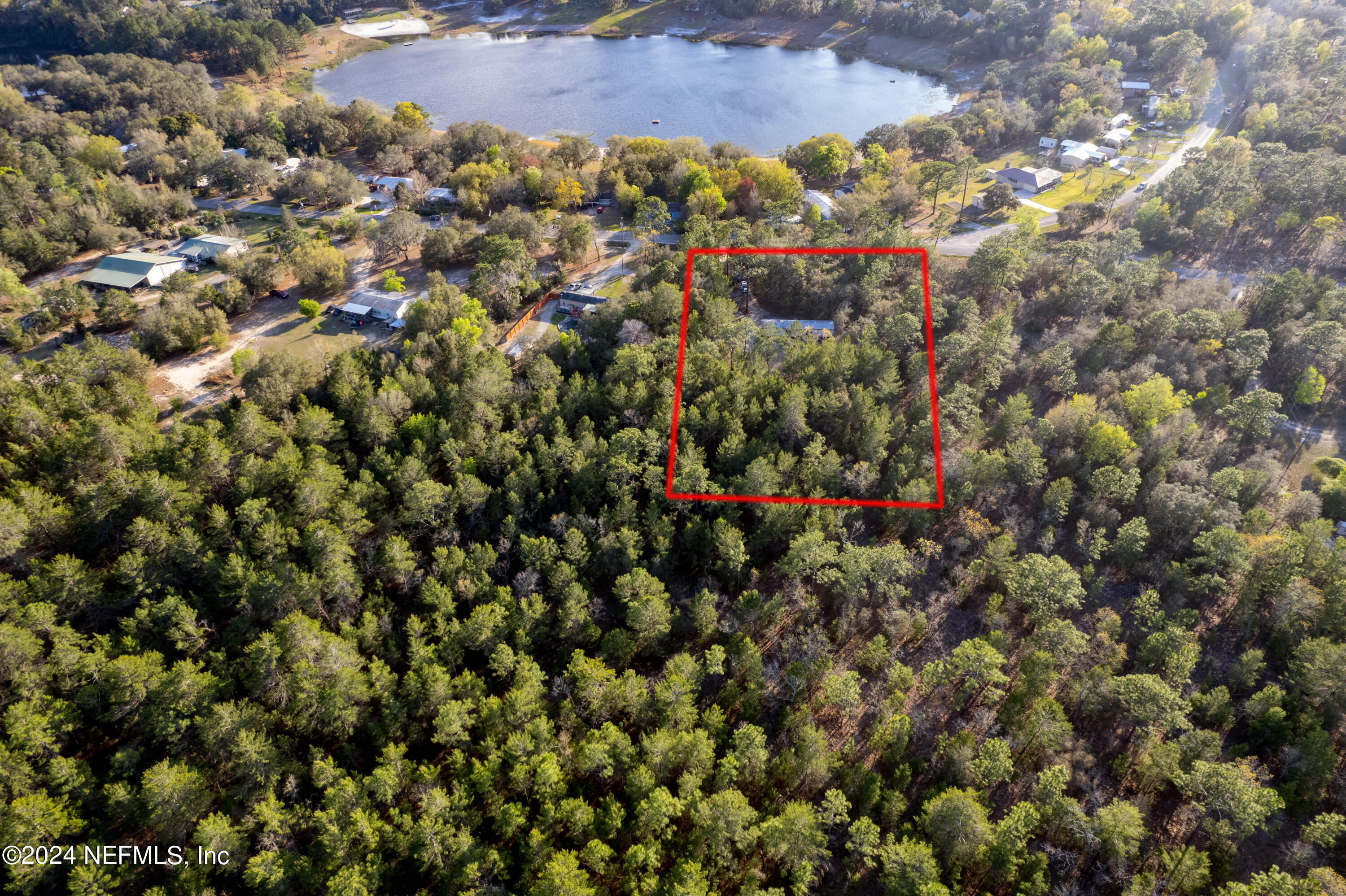6787 Deer Springs Road Keystone Heights, FL 32656 - Photo 23 of 54 a view of a dry yard