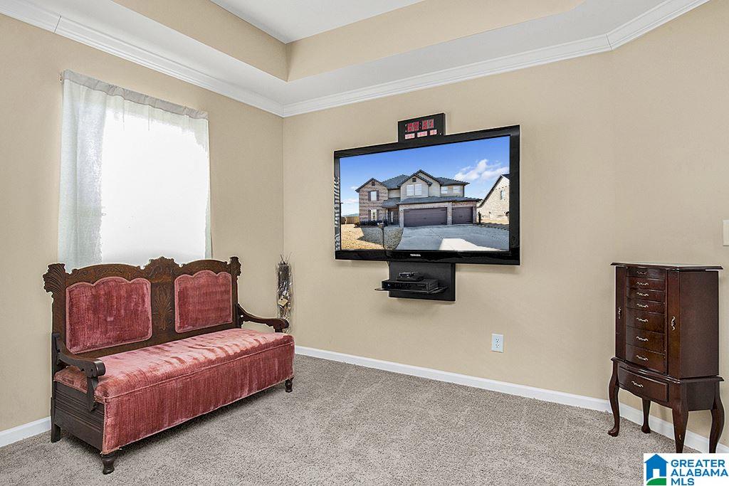 431 Blackberry Boulevard Springville, AL 35146 - Photo 21 of 46