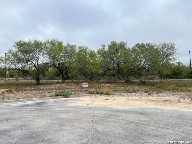 2102 Vista Bonita Three Rivers, TX 78071 - Photo 1 of 4 a view of a yard with a tree