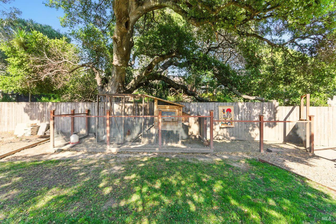 166 Knight Drive San Rafael, CA 94901 - Photo 18 of 21