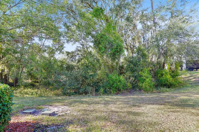 a view of a yard with a tree