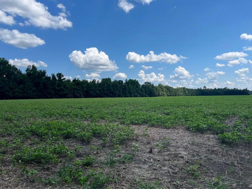 0-A Jeffieries 20 plus acres of land