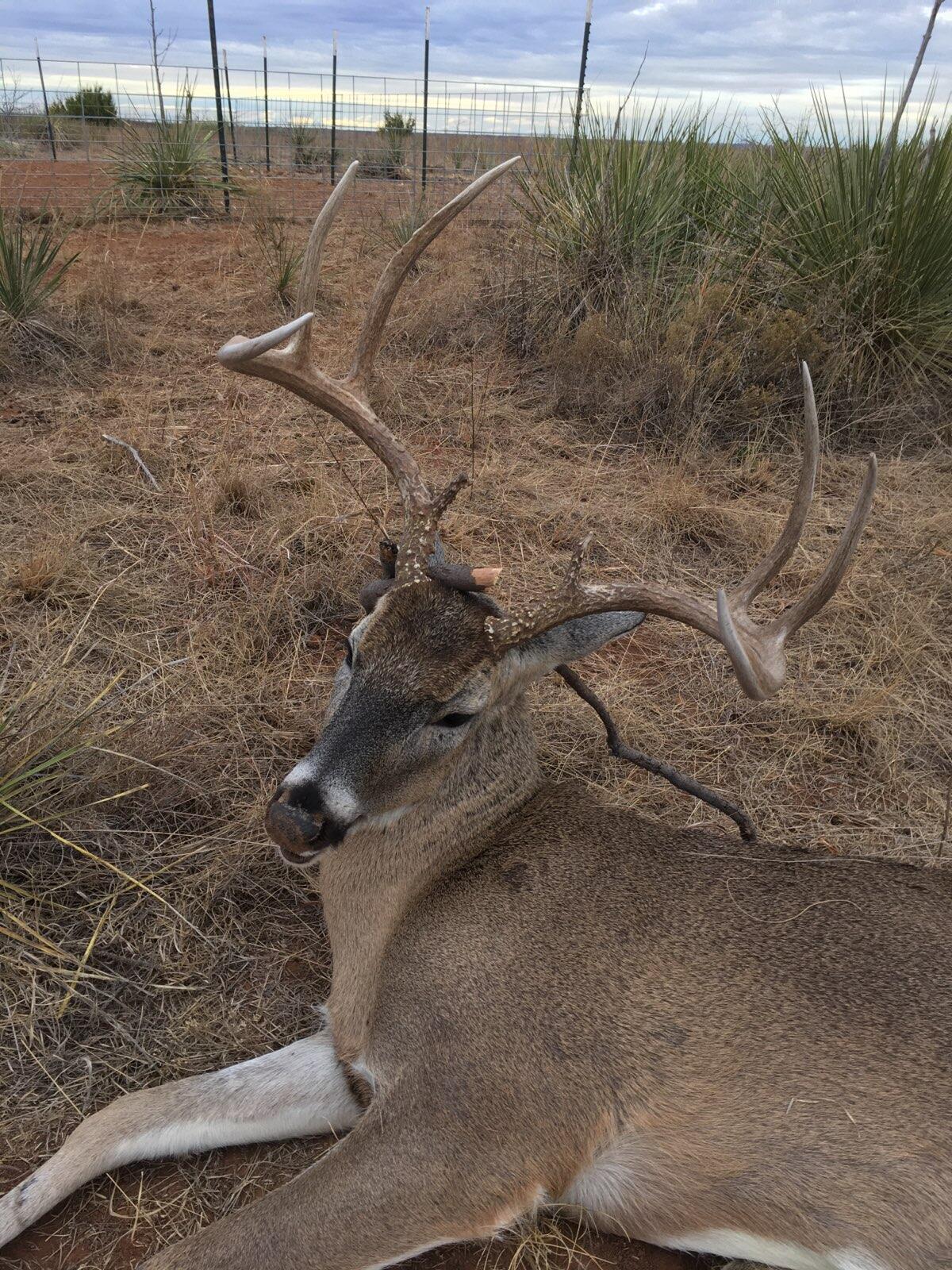 92 Texas Hamlin, TX 79520 - Photo 35 of 65 IMG_7027 (002)