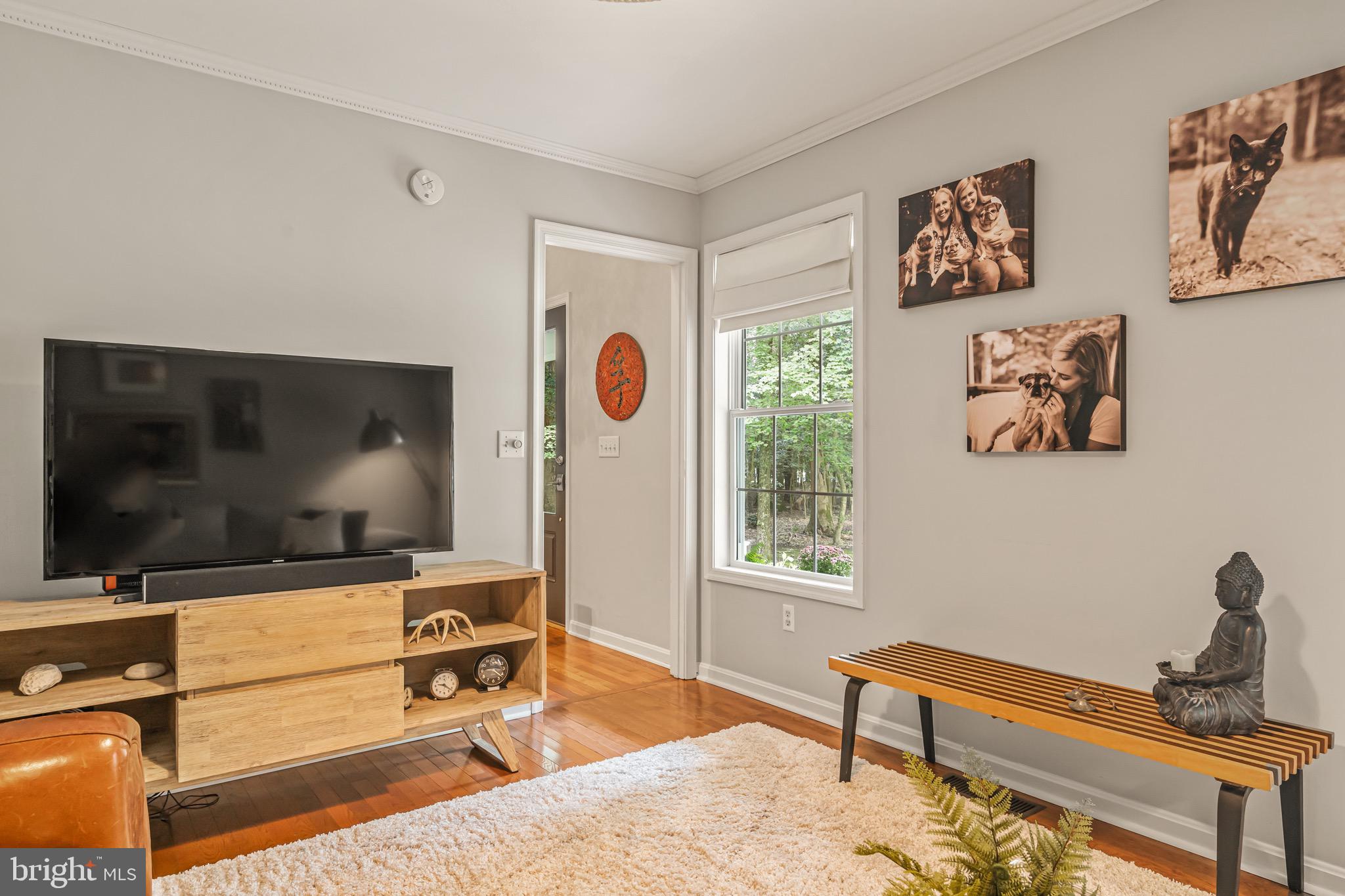 21897 Lavender Lane Lewes, DE 19958 - Photo 10 of 71 Watch TV or just relax