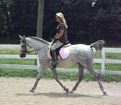 7355 Sugar Camp Hollow Road Fairview, TN 37062 - Photo 11 of 11