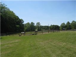 7355 Sugar Camp Hollow Road Fairview, TN 37062 - Photo 5 of 11