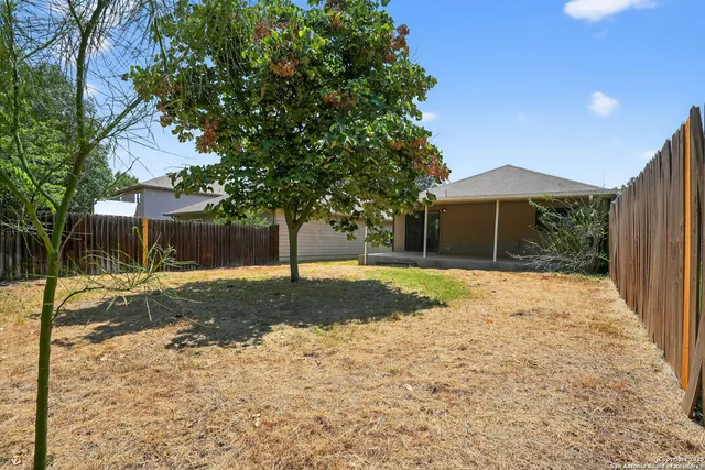 a backyard of a house with a tree