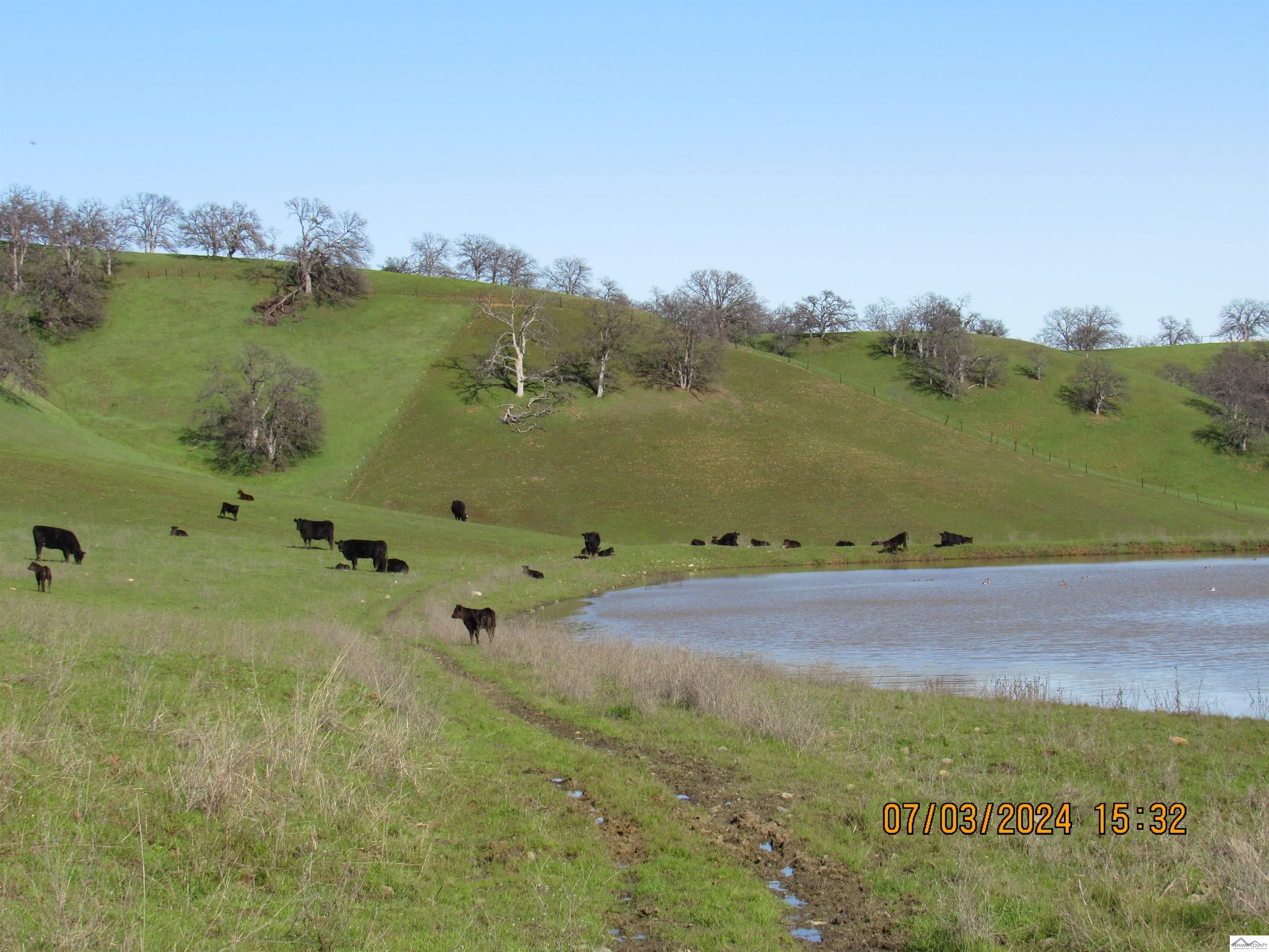12755 Mccarty Creek Road Red Bluff, CA 96074 - Photo 12 of 28