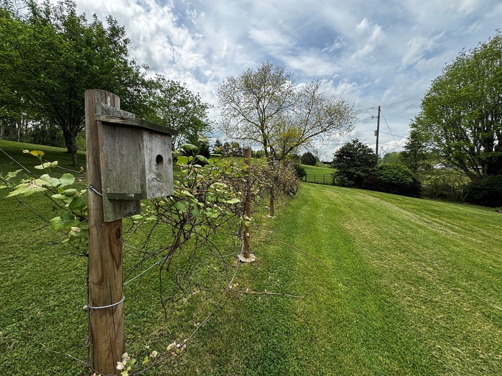 15537 Friendship Road Chilhowie, VA 24319 - Photo 16 of 70 Gallery Image 16