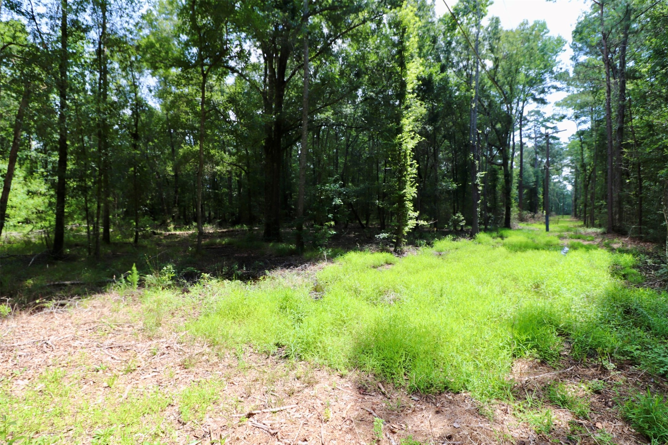 1250 Meekins Road Cleveland, TX 77328 - Photo 39 of 44