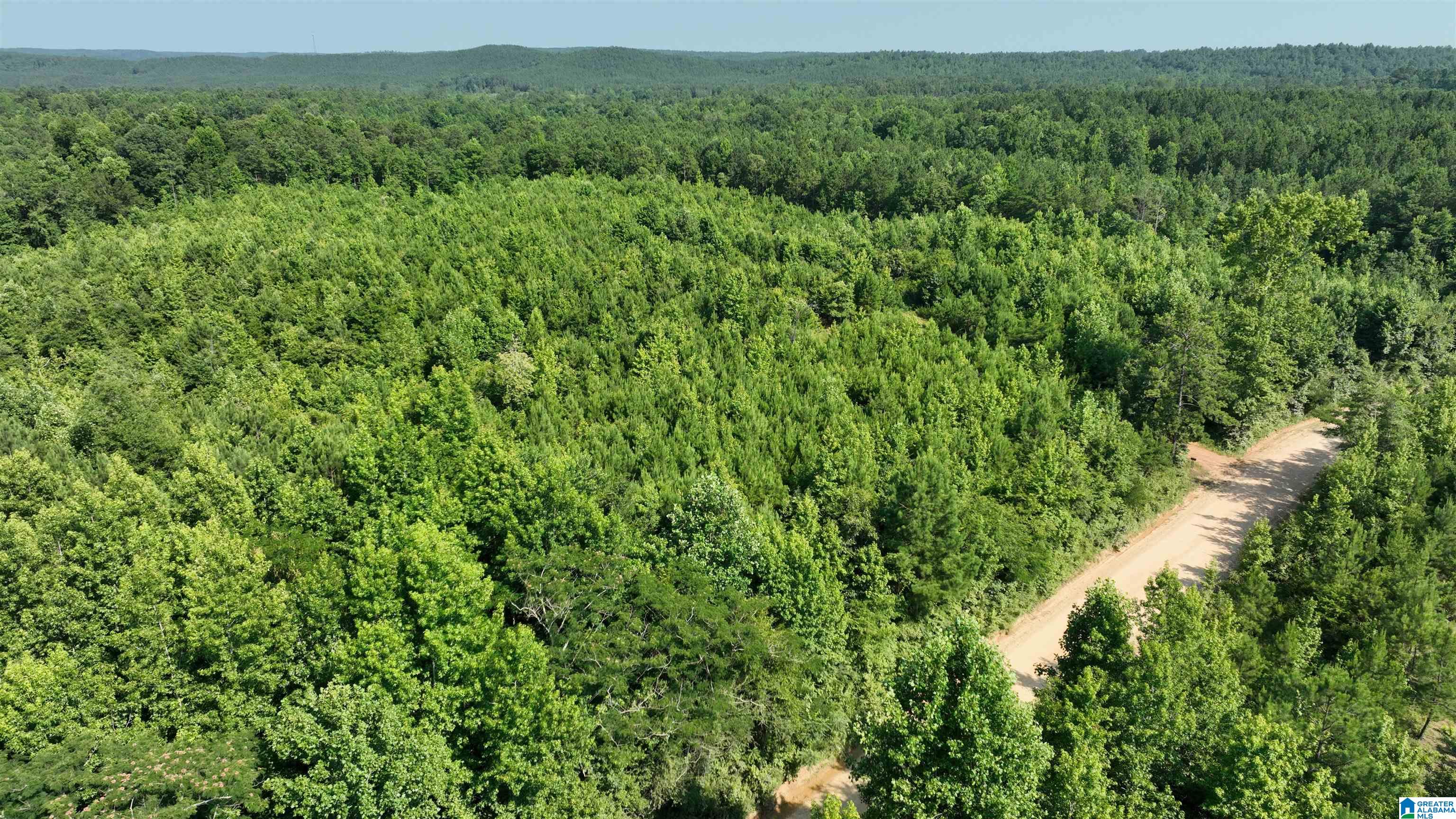 2 County Road 253, Unit 2 Clanton, AL 35046 - Photo 14 of 40
