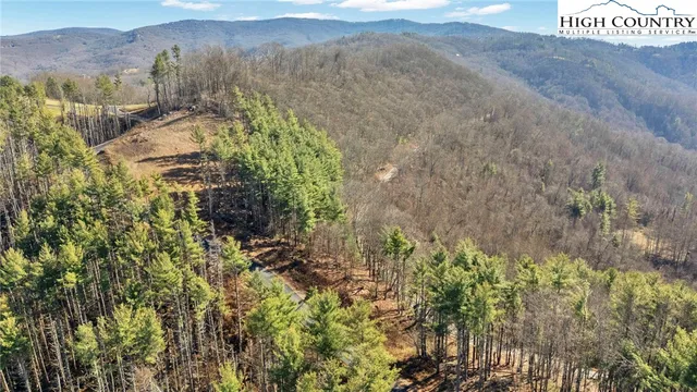 a view of a lush green field with mountains in the background