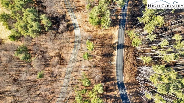 a bathroom with a tree