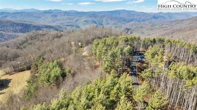 a view of a lush green hillside and a mountain