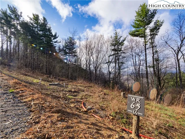 a view of a yard with plants and trees