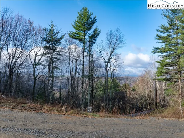 a view of a yard with trees
