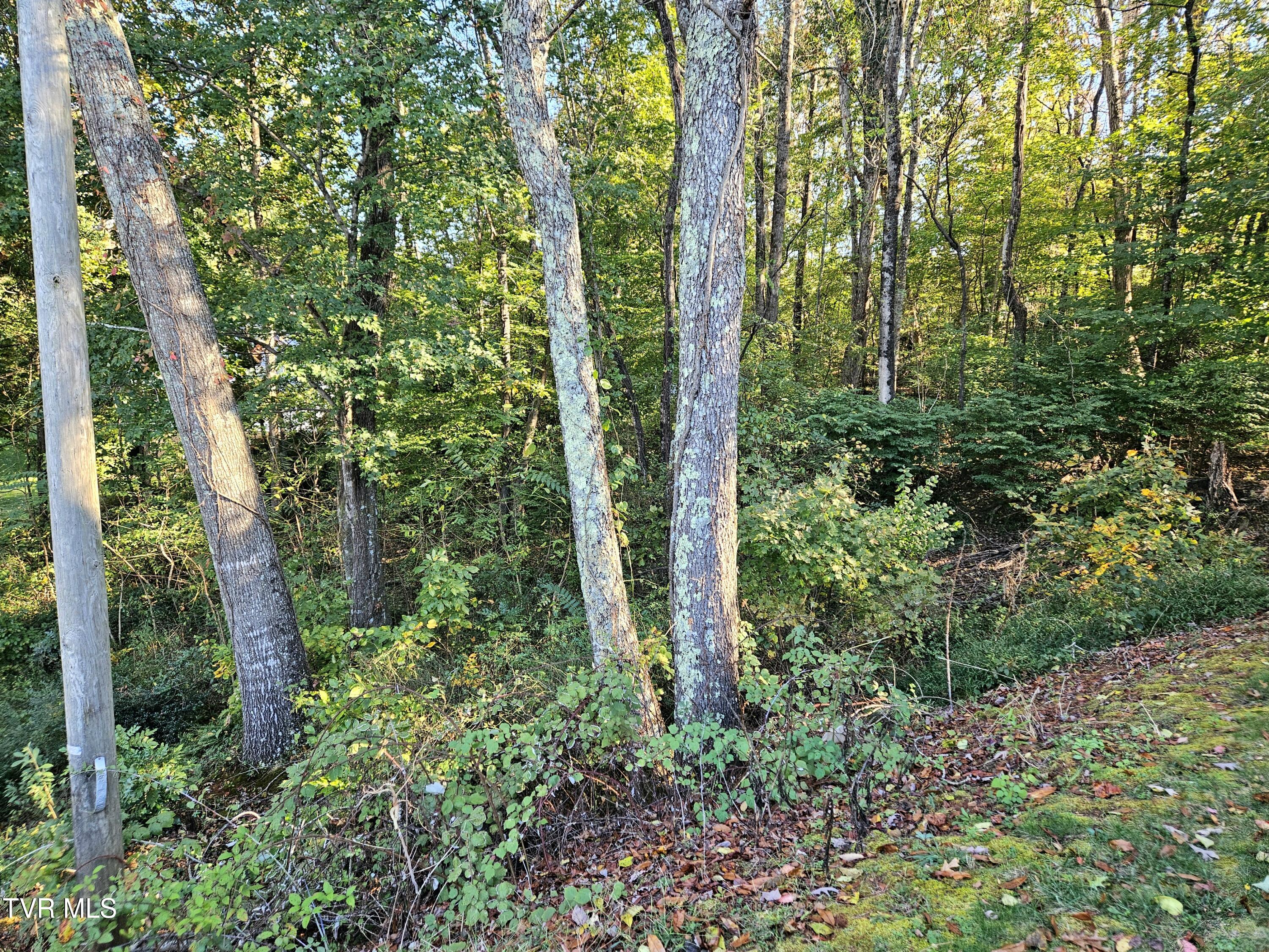 149 Sherwood Circle Ridgeway, VA 24148 - Photo 37 of 39 2ndparcel