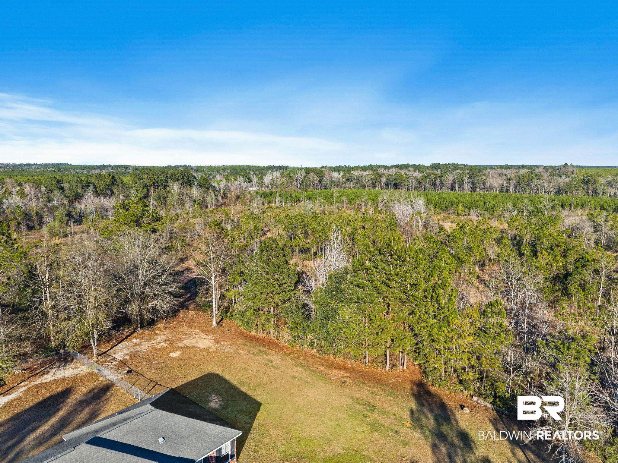 55750 Lottie Road Perdido, AL 36562 - Photo 26 of 84 Bird's eye view of a heavily wooded area