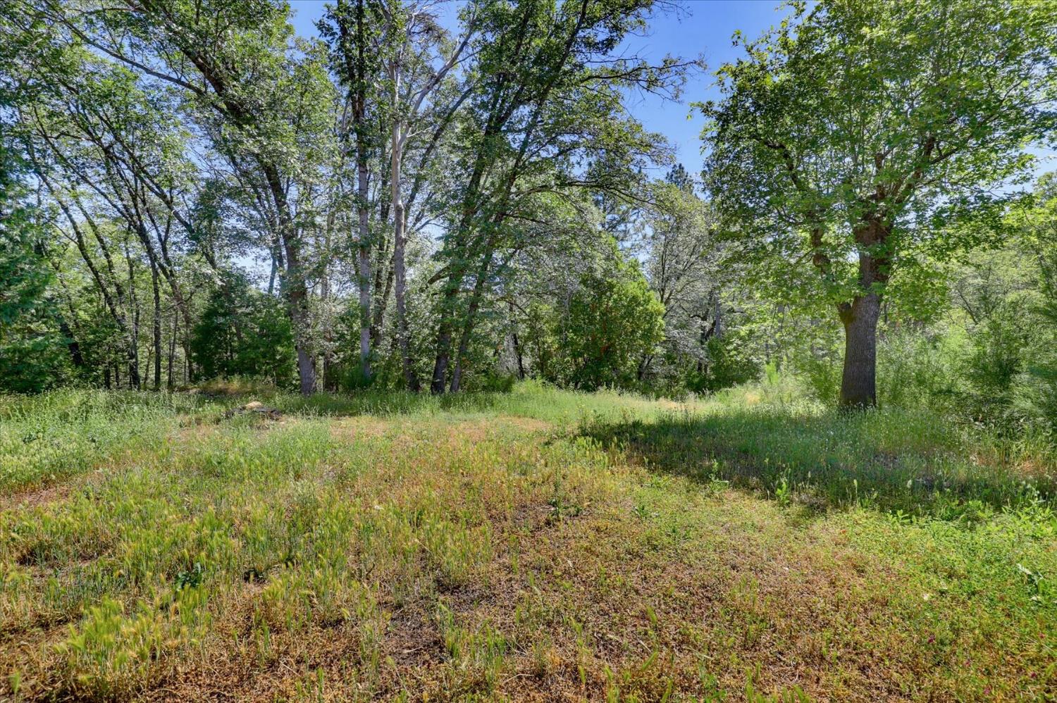 12666 Robinson Road Nevada City, CA 95959 - Photo 60 of 72