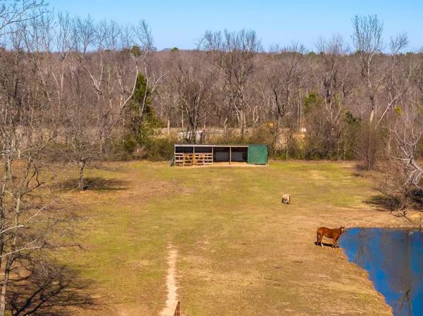 $435,000 | 600 Hotel Street, Williston, TN 38076