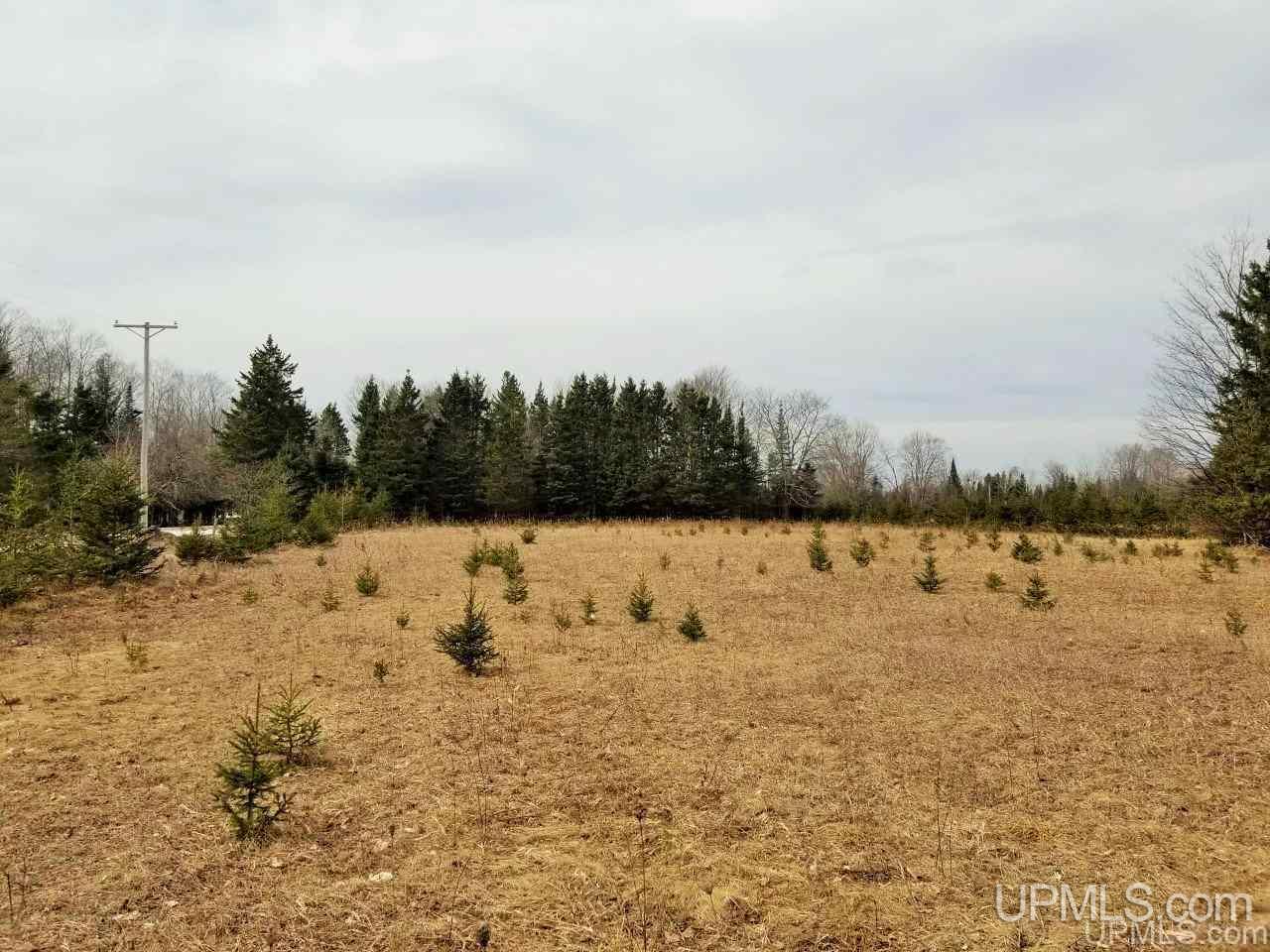 Tbd Stelzer Road Gulliver, MI 49840 - Photo 4 of 26