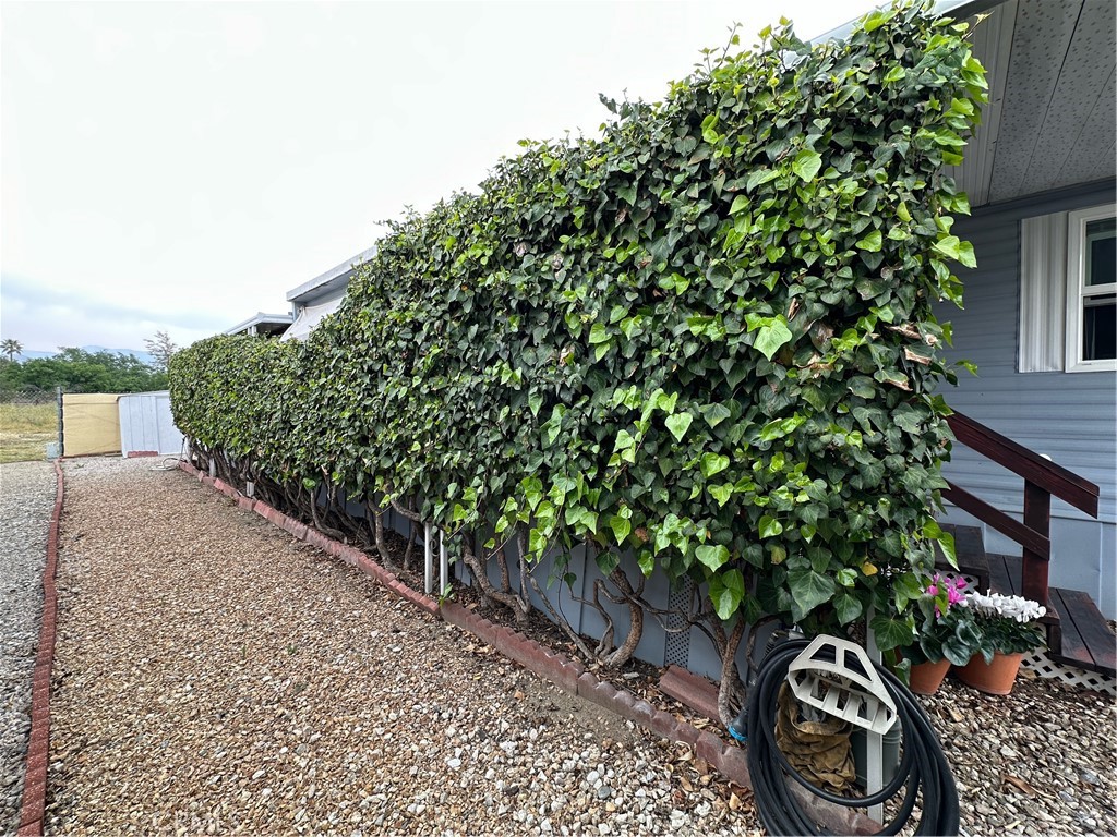 1255 Amethyst Street, Unit 44 Mentone, CA 92359 - Photo 4 of 27 a backyard of a house with lots of green space