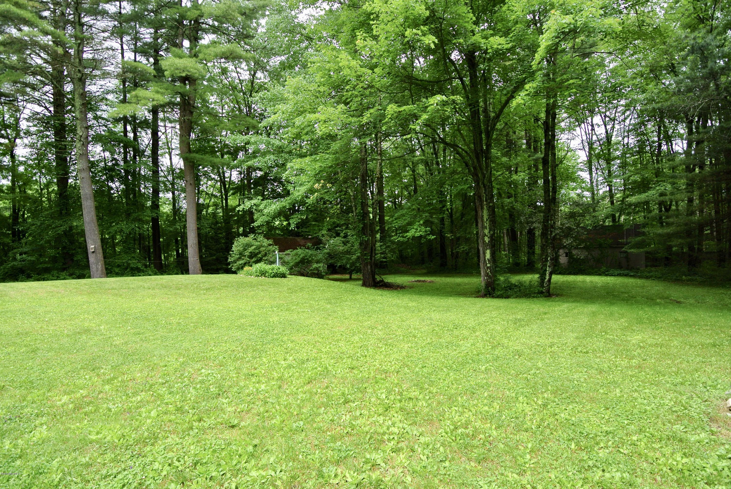 296 Salisbury Road Sheffield, MA 01257 - Photo 18 of 20 a view of a field with trees in the background