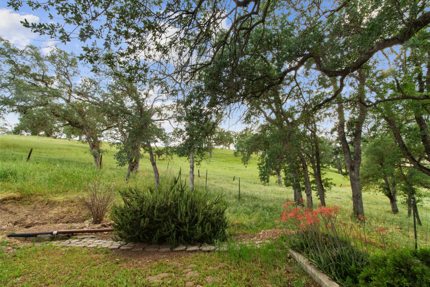 10580 Thompson Way Valley Springs, CA 95252 - Photo 38 of 64