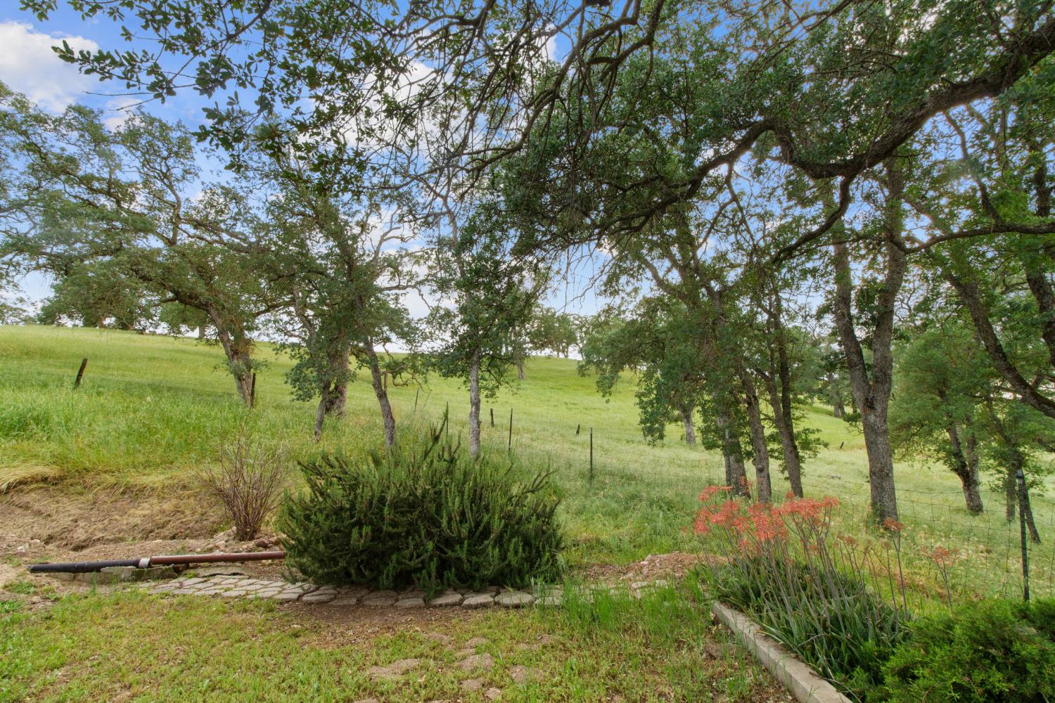 10580 Thompson Way Valley Springs, CA 95252 - Photo 39 of 64