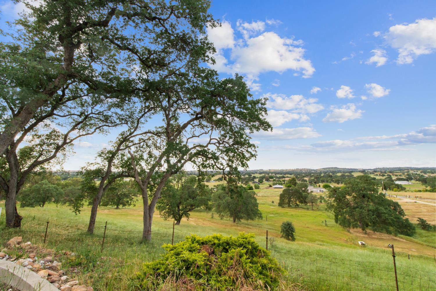 10580 Thompson Way Valley Springs, CA 95252 - Photo 45 of 64 a view of a lake with a yard
