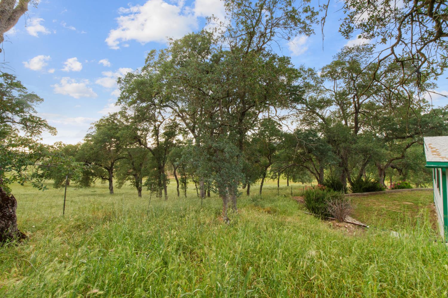 10580 Thompson Way Valley Springs, CA 95252 - Photo 52 of 64 a big yard with lots of green space and trees