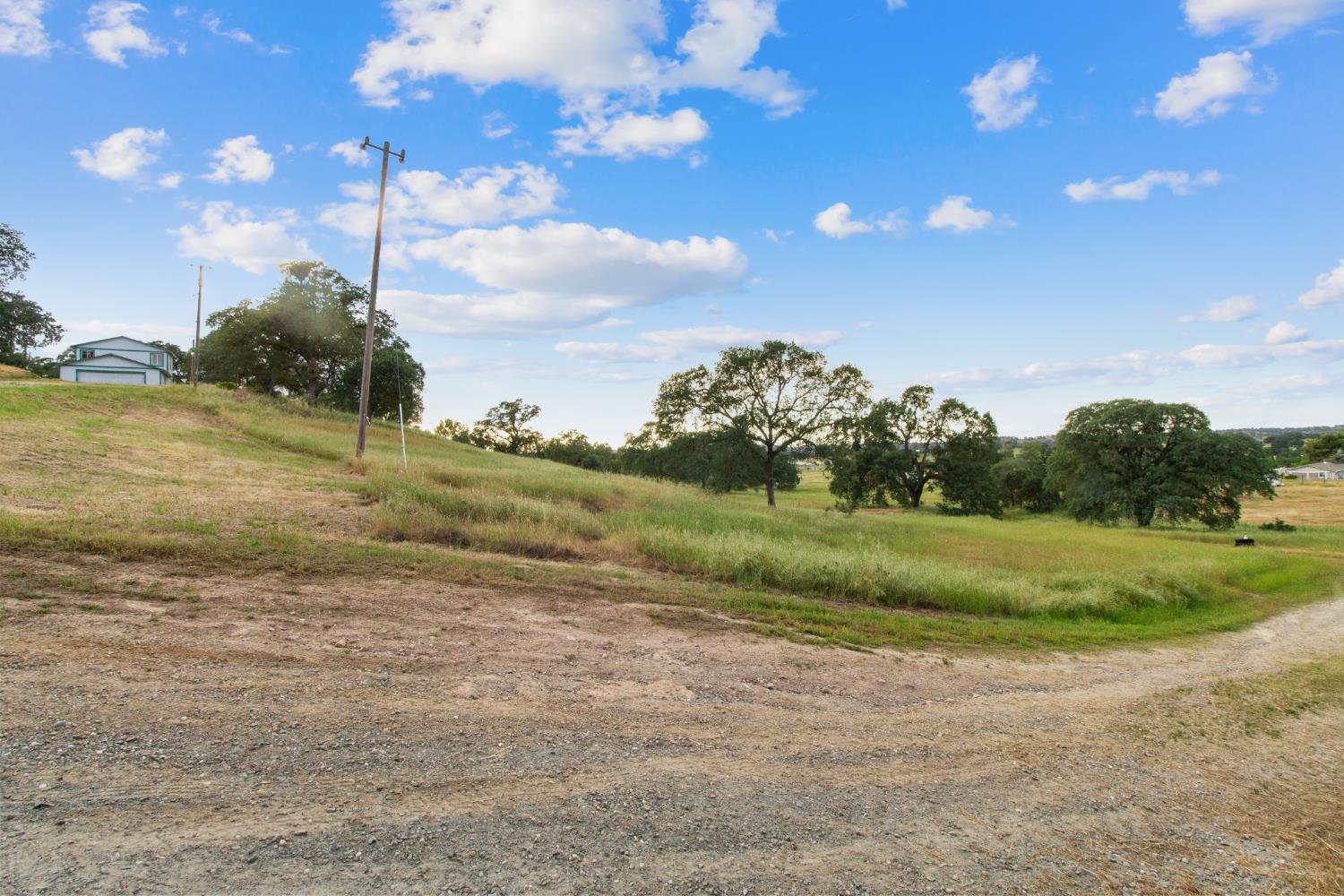 10580 Thompson Way Valley Springs, CA 95252 - Photo 56 of 64 a view of a field with an trees
