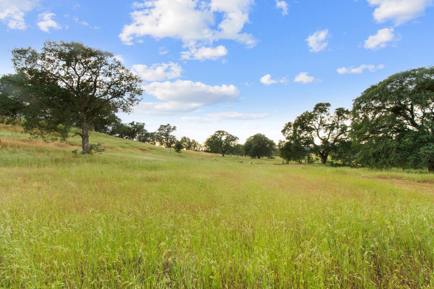10580 Thompson Way Valley Springs, CA 95252 - Photo 57 of 64 a view of an ocean and a yard