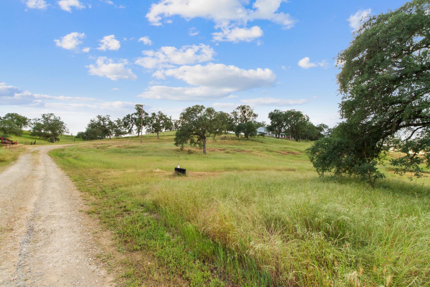 10580 Thompson Way Valley Springs, CA 95252 - Photo 59 of 64 a view of a lake with a big yard