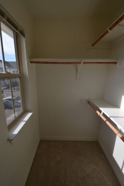 15918 Windermere Drive, Unit 315 Pflugerville, TX 78660 - Photo 9 of 13 a view of small space with racks on the wall