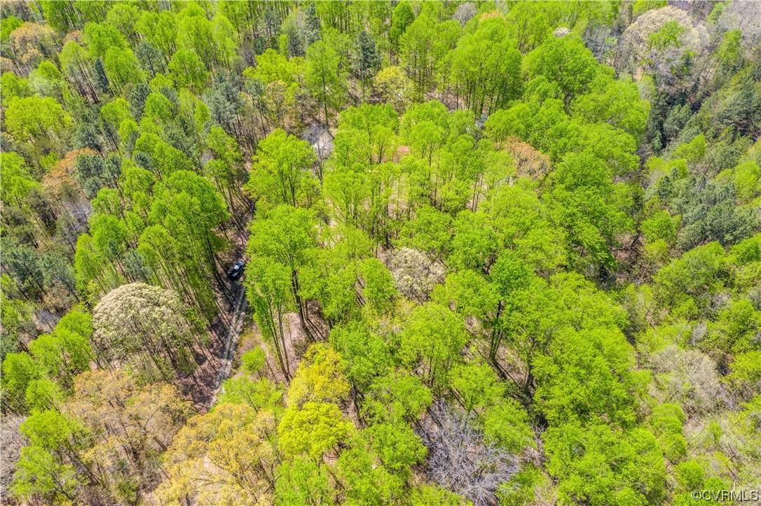 6607 Blenheim Road Powhatan, VA 23139 - Photo 31 of 41 Gallery Image 31