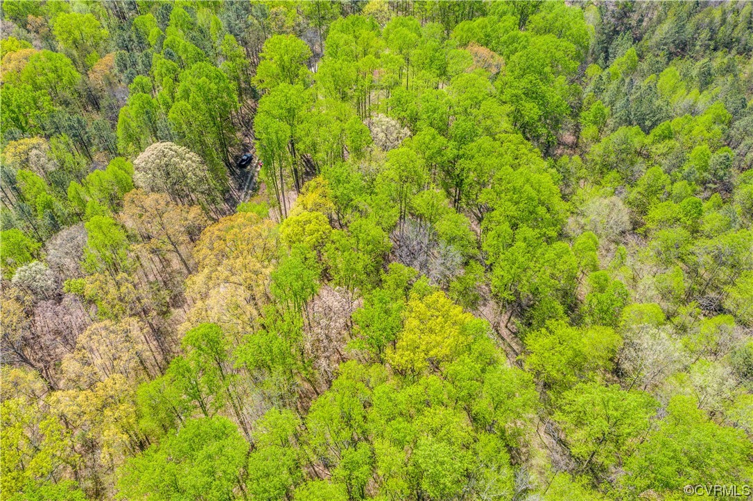 6607 Blenheim Road Powhatan, VA 23139 - Photo 32 of 41 Gallery Image 32