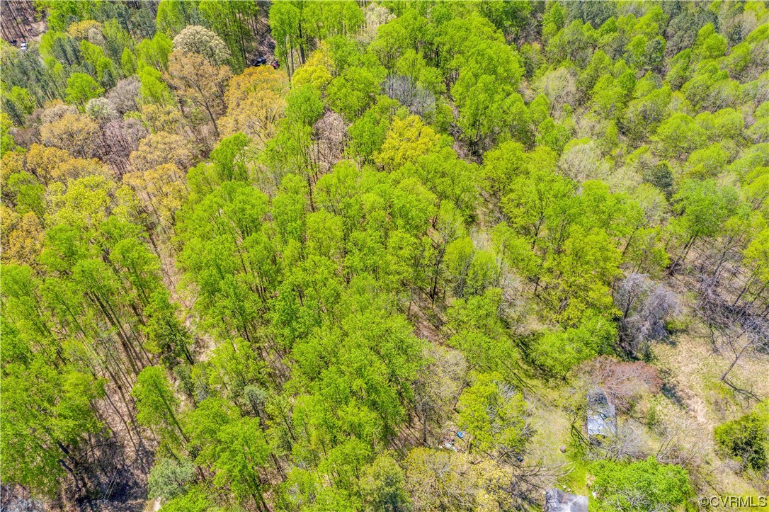 6607 Blenheim Road Powhatan, VA 23139 - Photo 33 of 41 Gallery Image 33