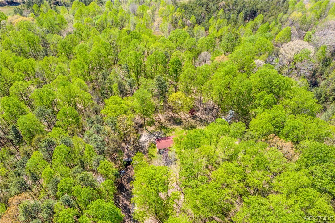 6607 Blenheim Road Powhatan, VA 23139 - Photo 39 of 41 Gallery Image 39