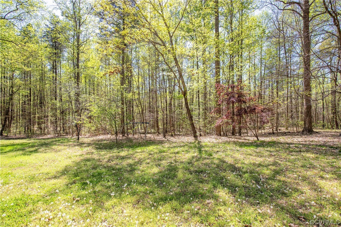 6607 Blenheim Road Powhatan, VA 23139 - Photo 8 of 41 Gallery Image 8