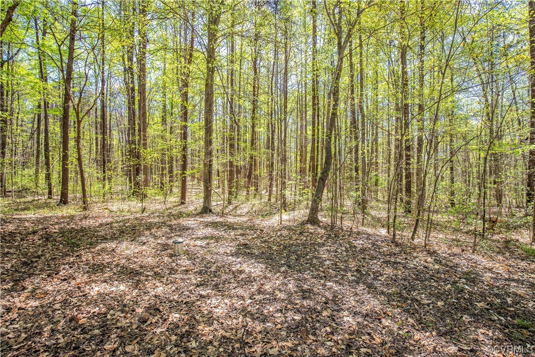 6607 Blenheim Road Powhatan, VA 23139 - Photo 9 of 41 Gallery Image 9
