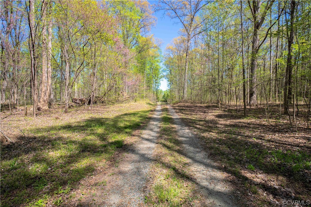 6607 Blenheim Road Powhatan, VA 23139 - Photo 10 of 41 Gallery Image 10
