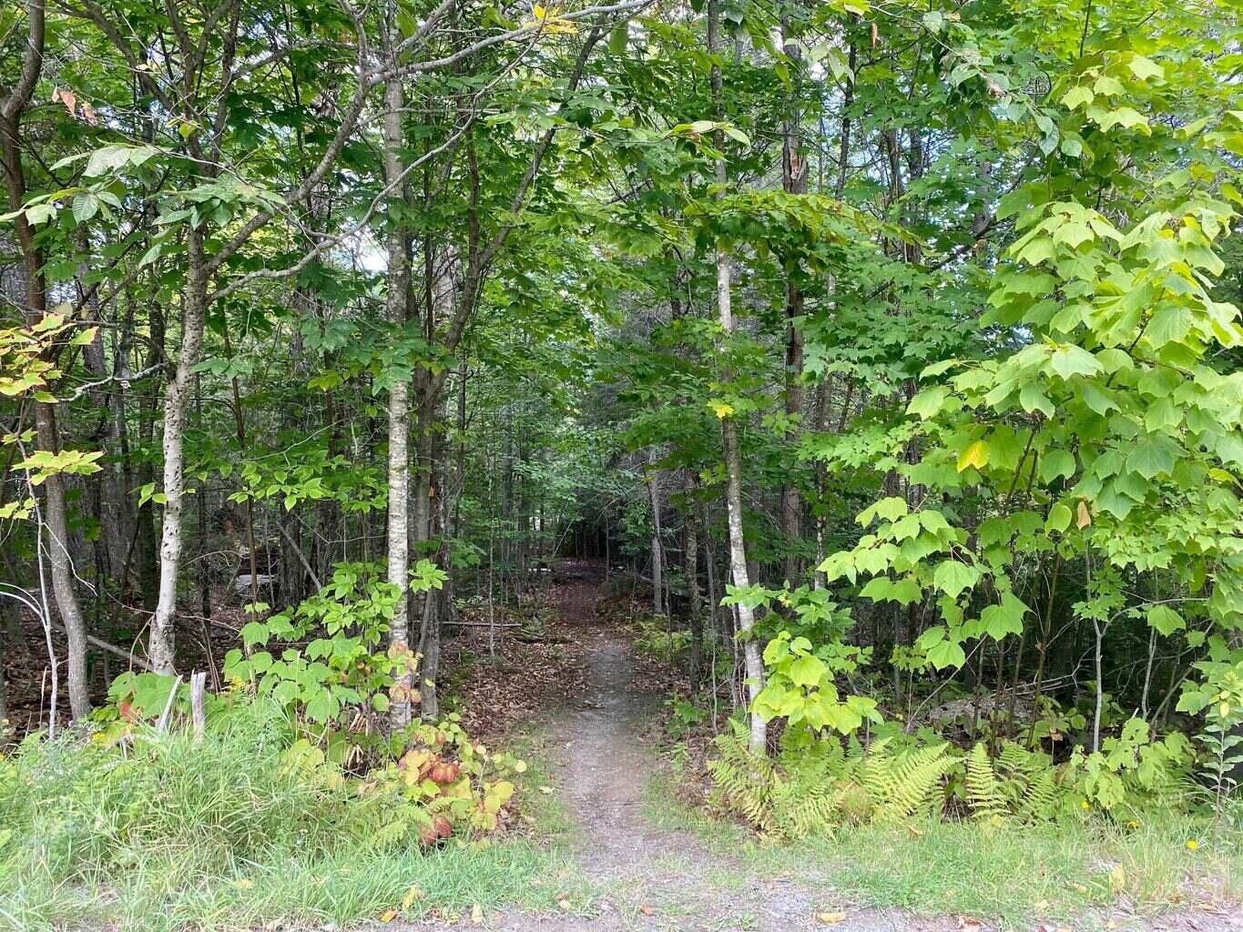 15 Davis Ridge Road Greenville Junction, ME 04442 - Photo 52 of 55 IMG_5653
