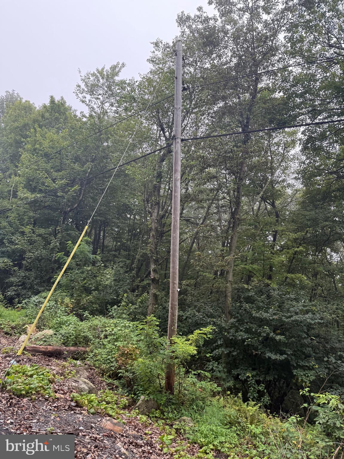 0 Pinnacle Road Keyser, WV 26726 - Photo 51 of 61