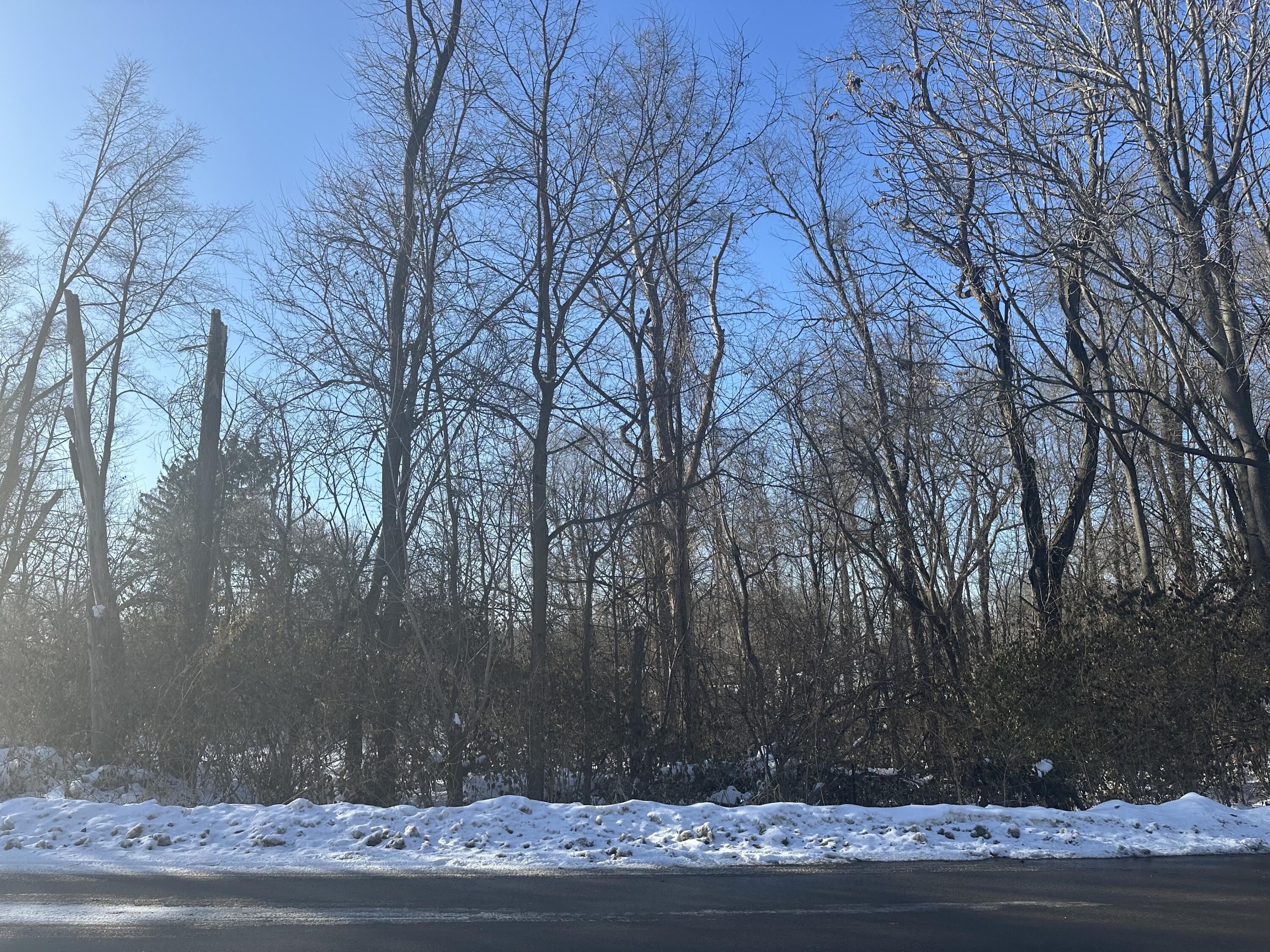 369 Kincaid Street Kalamazoo, MI 49048 - Photo 1 of 2 IMG_1250